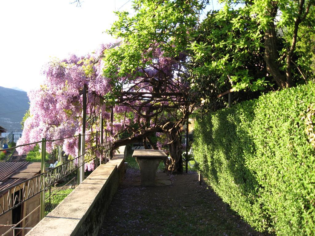 Apartmán Casa Gibiseo Bellano Exteriér fotografie